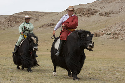 mongolia events and festivals